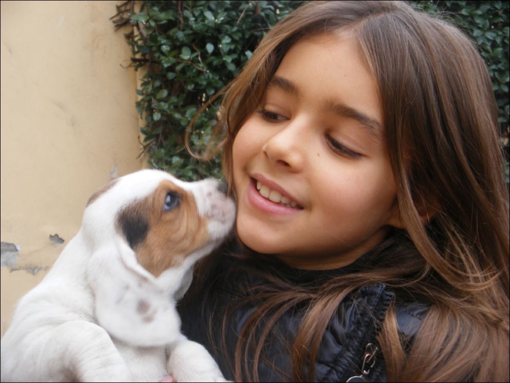 cuccioli amelie-67